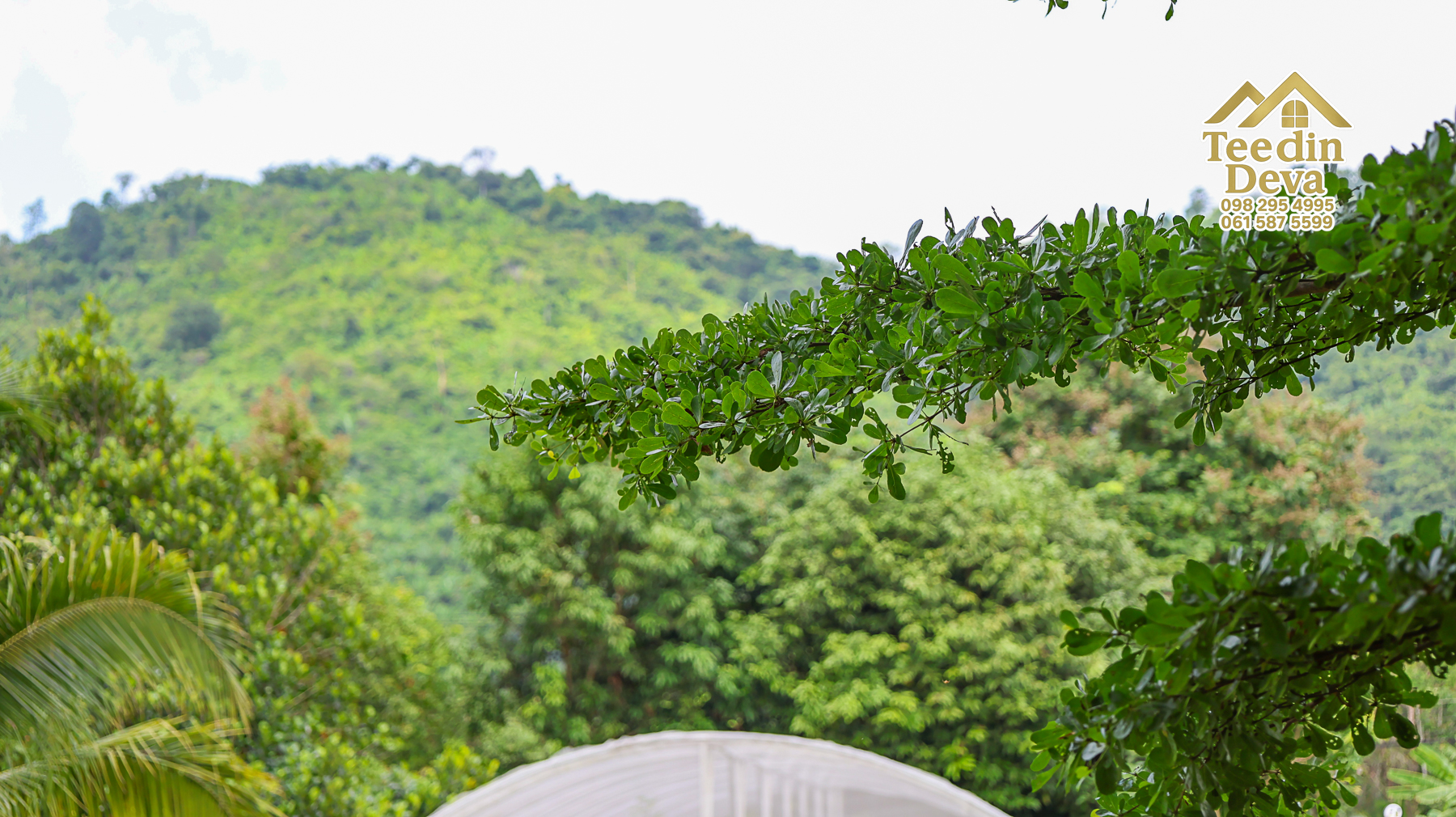 🏡 บ้านพร้อมที่ดินวิวภูเขา 1 ไร่ 3 งาน 45 ตรว. – ต.เขาพระ อ.เมือง จ.นครนายก 🌿