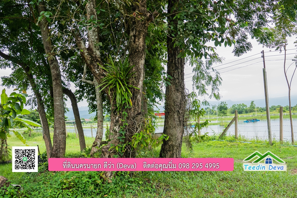 ขายบ้านสวน กลางนา วิวเขาใหญ่ ต.สาริกา อ.เมือง จ.นครนายก