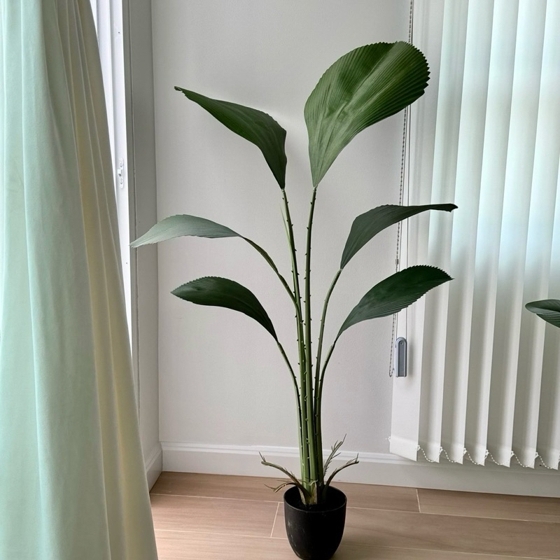 [พร้อมส่ง] Jnihouse : ต้นปาล์มใบพัด ต้นไม้ประดิษฐ์สูง 130 cm (Tree)