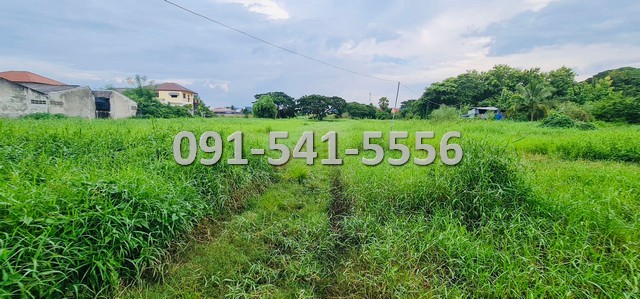 ขายที่ดิน ใจกลางเมืองเพชรบูรณ์ เนื้อที่ 18-1-3 ไร่ ติดถนนสันติสุข เข้าออกได้หลายเส้นทาง บรรยากาศดีเงียบสงบน่าอยู่