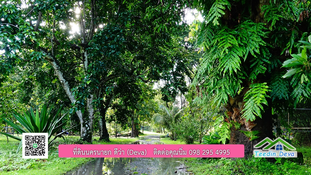 (ðī āļāļīāļāļāļēāļĢāļāļēāļĒ) āļāļĩāđāļāļīāļāļāļāļĢāļāļēāļĒāļ āļāļīāļāļĨāļģāļāļēāļĢ āļāļĨāļđāļāļāļĨāđāļĄāđ 8 āđāļĢāđ 2 āļāļēāļ āļ.āļŠāļēāļĢāļīāļāļē āļ.āđāļĄāļ·āļāļ āļ.āļāļāļĢāļāļēāļĒāļ