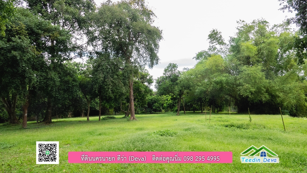 ที่ดินนครนายก ติดแม่น้ำ 14 ไร่ พื้นที่ติดแม่น้ำ 400 เมตร ชมลำธารสวยๆ บรรยากาศสบายๆ ต.สาริกา อ.เมือง จ.นครนายก