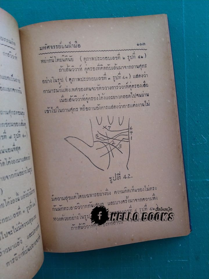 มหัศจรรย์บนฝ่ามือ