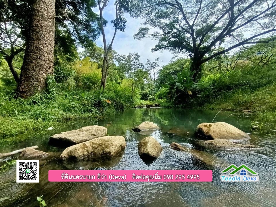 ที่ดินนครนายก ติดลำธารสวยๆ ที่ดินแปลงสวย 6 ไร่ ทำเลดี ในอ้อมกอดของขุนเขา ด้านหลังติดลำธารธรรมชาติ
