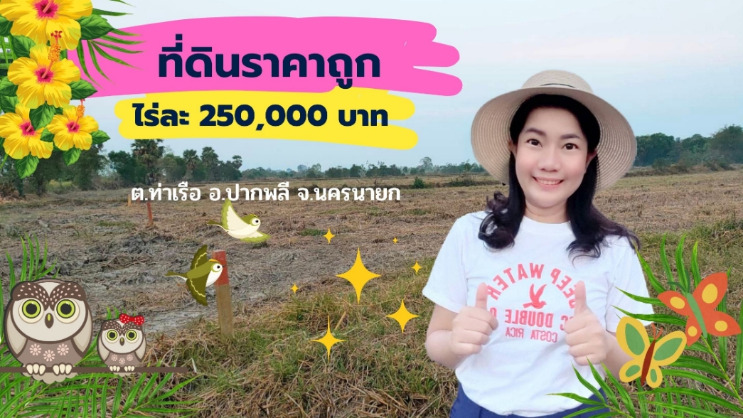 ที่ดินแปลงสวย ราคาถูก เนื้อที่ 33-1-67 ไร่ ราคาไร่ละ 250,000 บาท การเดินทางสะดวก อยู่ใกล้จุดชมนกเหยี่ยวหูดำ อ.ปากพลี จ.นครนายก
