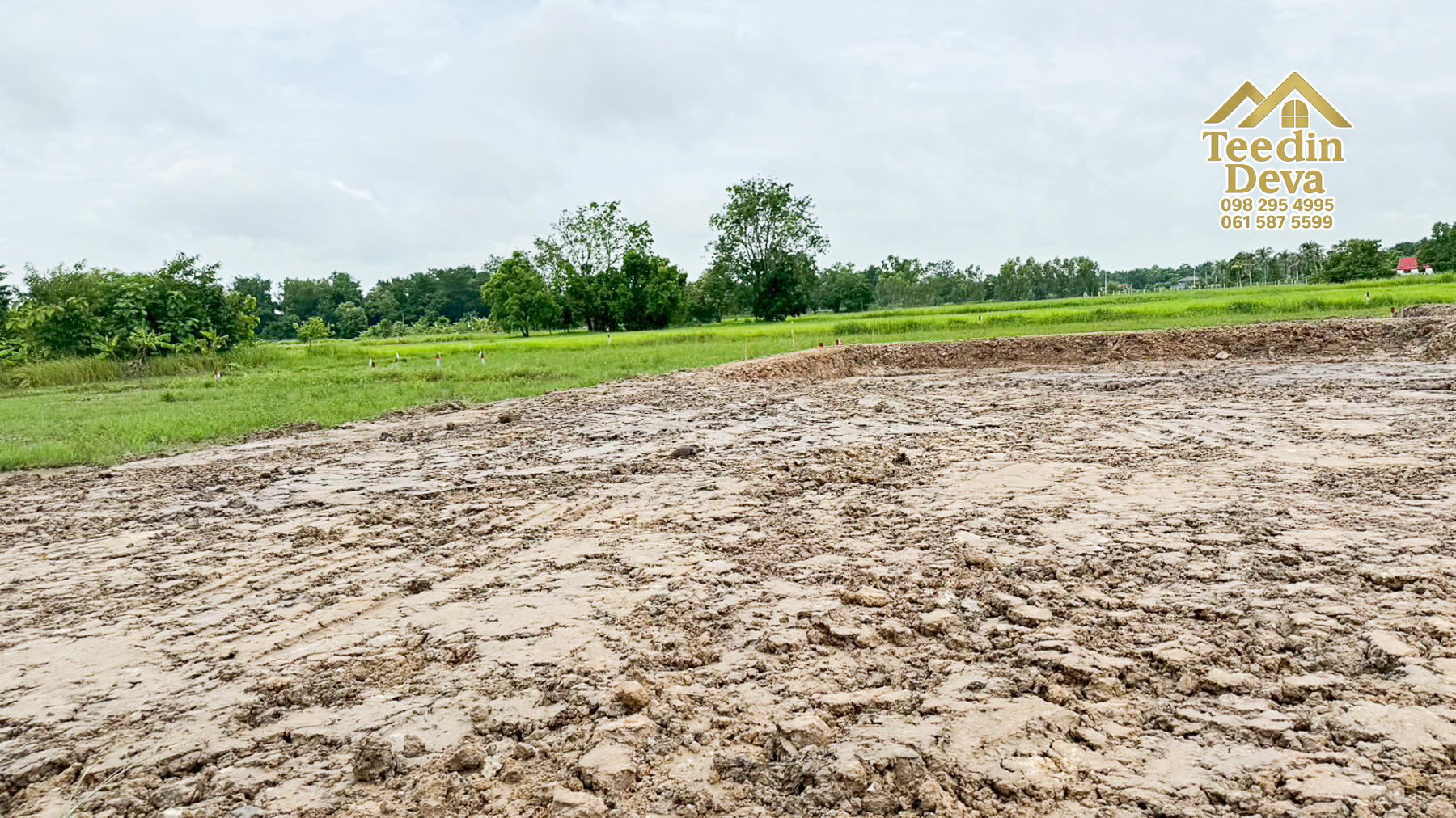 ที่ดินนครนายก ราคาถูก 100 ตรว พร้อมขุดโคกหนองนาให้ฟรี ต.ศรีนาวา อ.เมือง จ.นครนายก