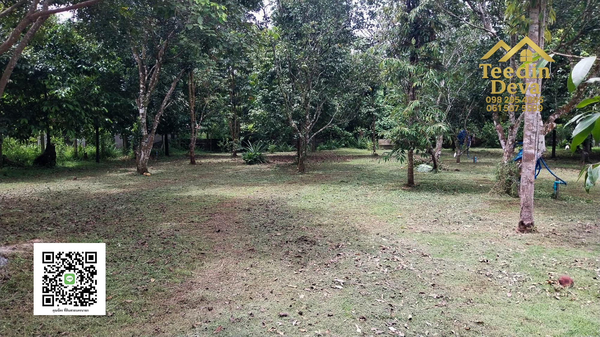 🌿 บ้านสวนในฝัน พร้อมอยู่ ใกล้เขื่อนขุนด่าน เนื้อที่ 1 ไร่ ต.สาริกา อ.เมือง จ.นครนายก 🏡