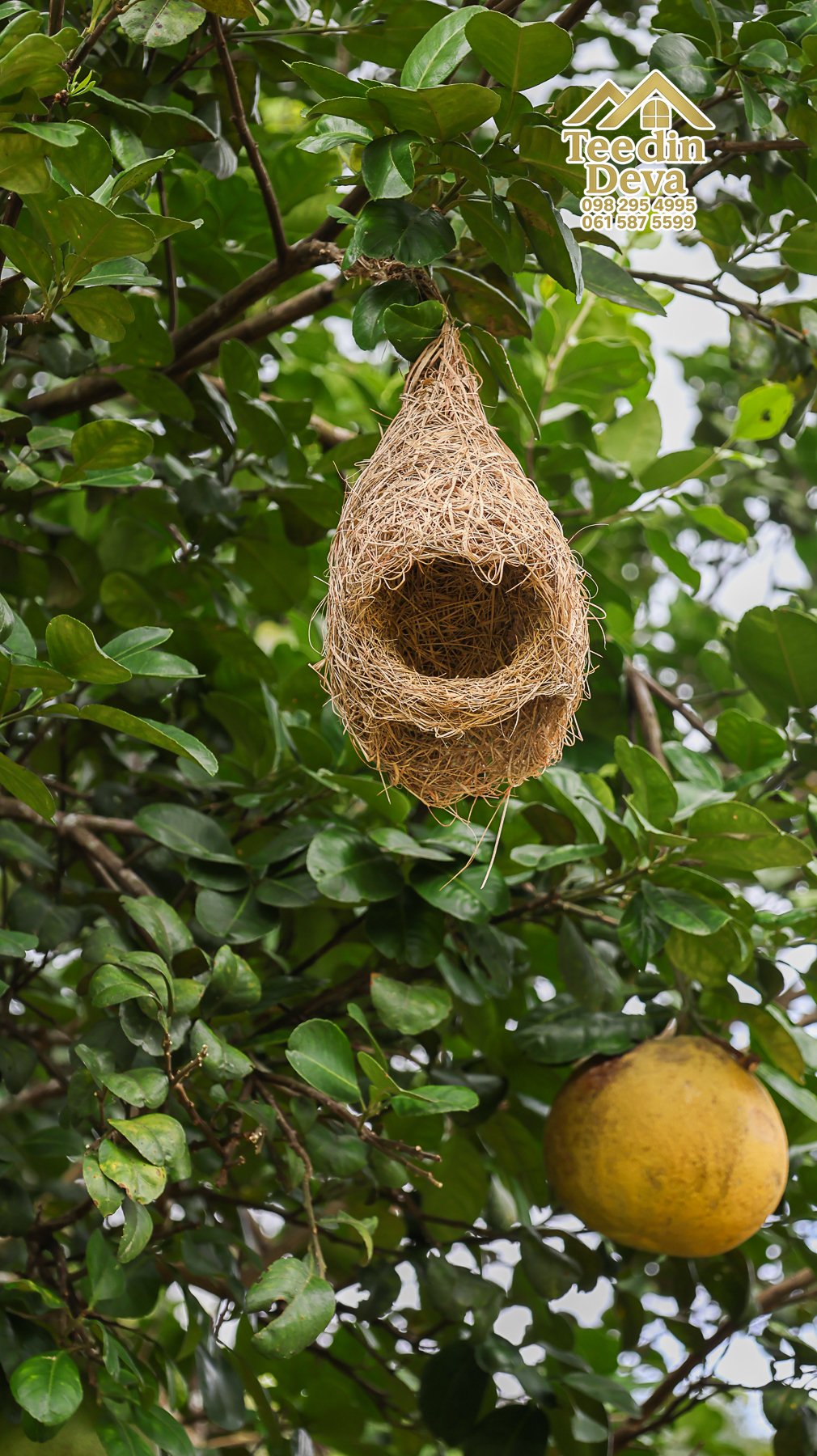 ที่ดินติดภูเขา เนินสวย พร้อมพัฒนารีสอร์ทหรือพูลวิลล่า 1 ไร่ ต.เขาพระ อ.เมือง จ.นครนายก 🏡