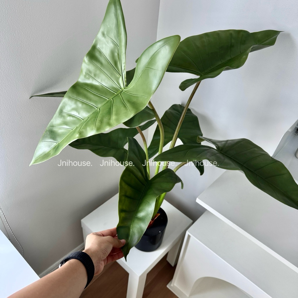 [พร้อมส่ง] Jnihouse : ต้นฟิโลเดนดรอน (ต้นไม้ประดิษฐ์)(Tree)