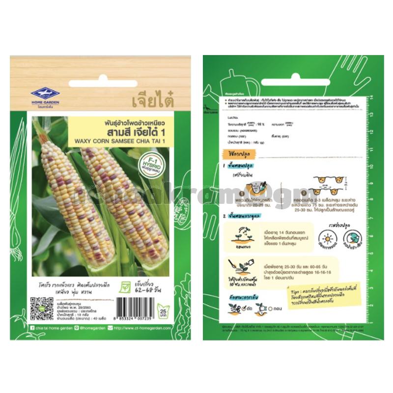 เมล็ดข้าวโพดข้าวเหนียวสามสี-เจียไต๋