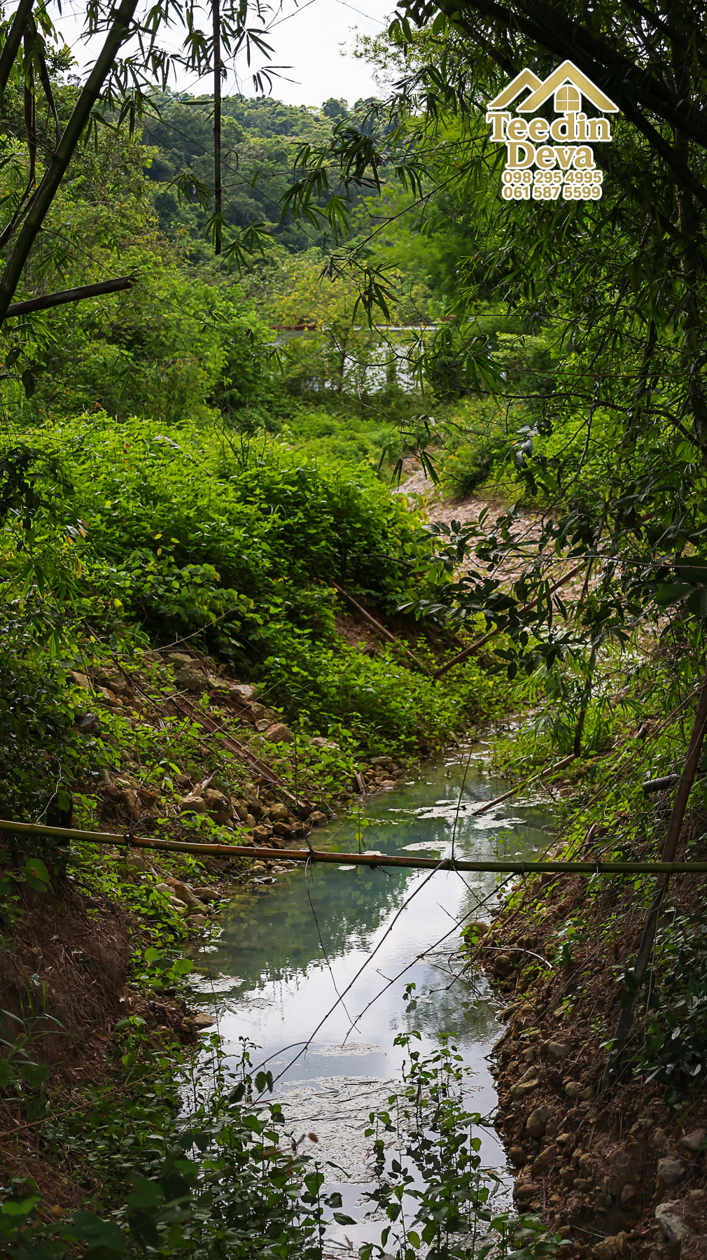 🏞️ “ผืนธรรมชาติกลางหุบเขา” 12 ไร่ 2 งาน 93.3 ตร.วา – ต.สาริกา อ.เมือง จ.นครนายก 🌳