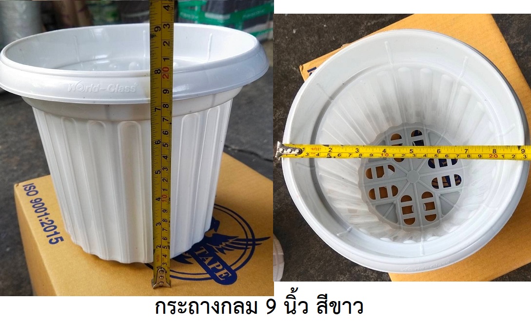 P02320 กระถางกลมโรมัน สีขาว 9 นิ้ว No.7924 ราคาขายส่ง 1 โหล : 12 ใบ