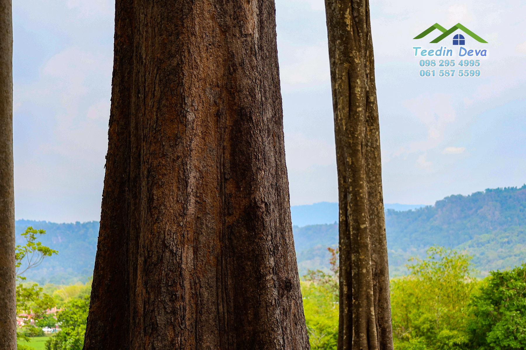 🌿 “มุมสงบแห่งภูกะเหรี่ยง” ที่ดินวิวเขา ริมคลองน้ำใส 297 ตรว. ต.หินตั้ง อ.เมือง จ.นครนายก สำเนา