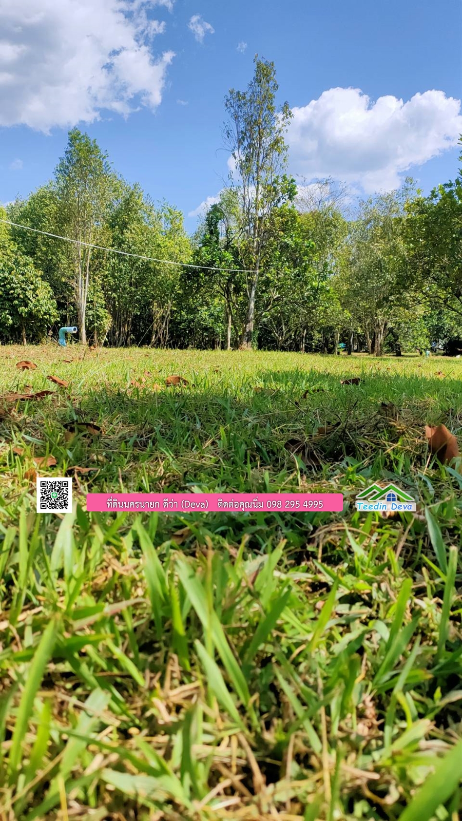 บ้านสวนผลไม้ ใกล้กับแหล่งท่องเที่ยว เจ้าของปลูกมะยงชิด ส้มโอ ต้นกฤษณา 20 ไร่ อยู่ติดถนนสายท่องเที่ยว สาริกา-นางรอง ต.สาริกา อ.เมือง จ.นครนายก