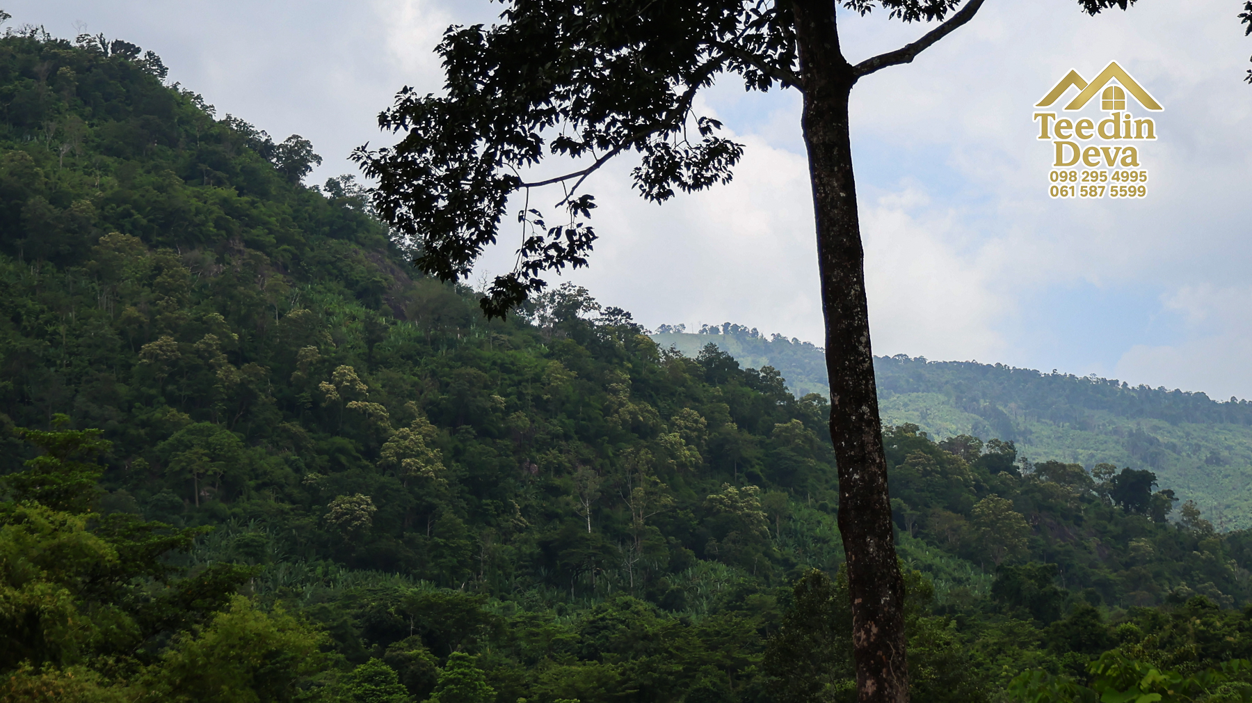 ที่ดินติดภูเขา เนินสวย พร้อมพัฒนารีสอร์ทหรือพูลวิลล่า 1 ไร่ ต.เขาพระ อ.เมือง จ.นครนายก 🏡