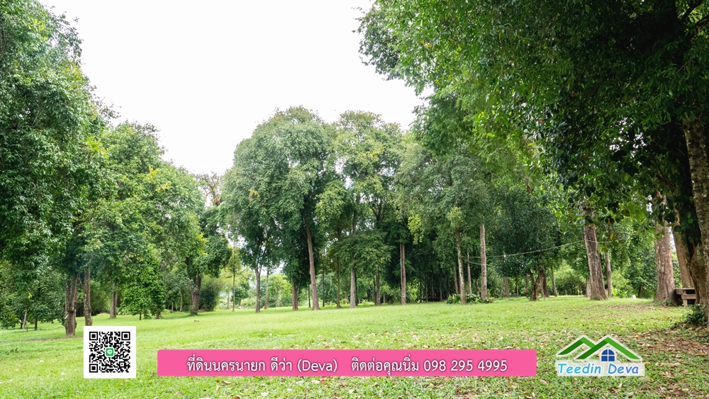 ที่ดินนครนายก ติดแม่น้ำ 14 ไร่ พื้นที่ติดแม่น้ำ 400 เมตร ชมลำธารสวยๆ บรรยากาศสบายๆ ต.สาริกา อ.เมือง จ.นครนายก