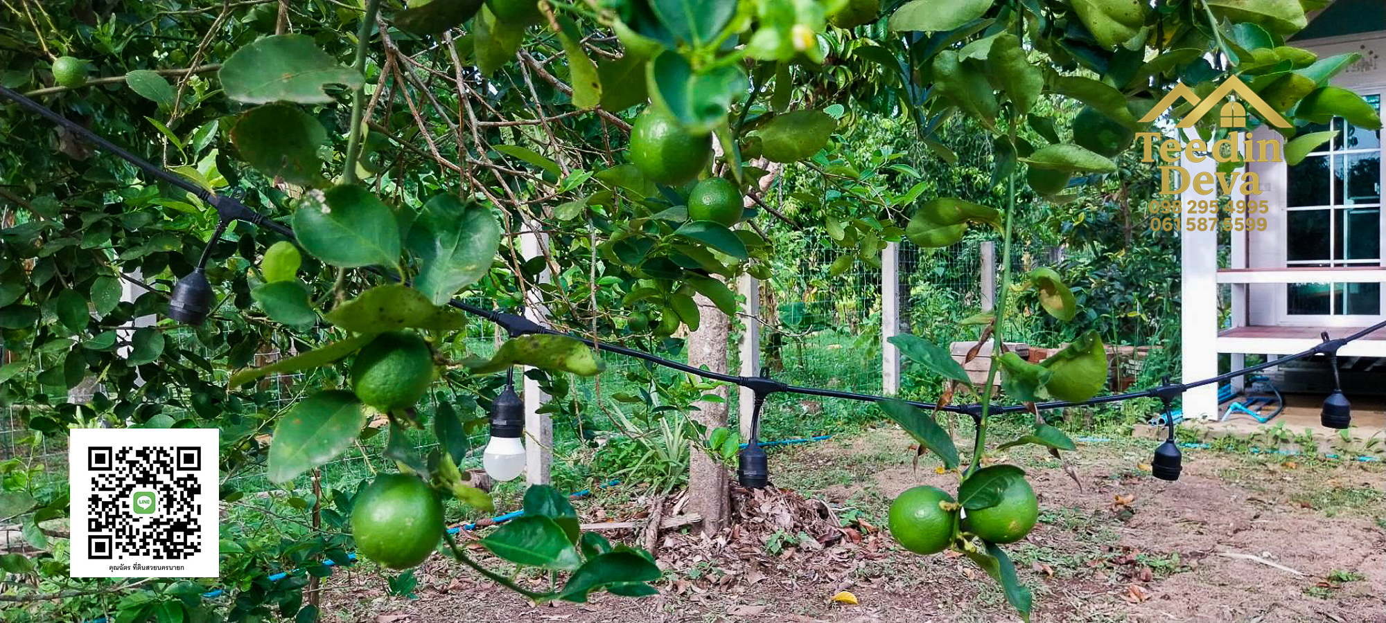 🌿 บ้านสวนในฝัน พร้อมอยู่ ใกล้เขื่อนขุนด่าน เนื้อที่ 1 ไร่ ต.สาริกา อ.เมือง จ.นครนายก 🏡