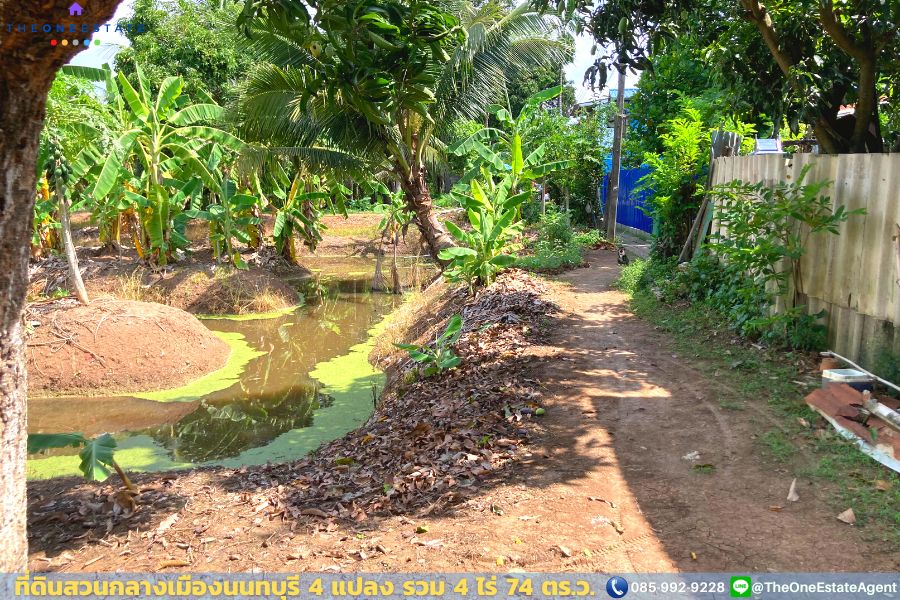 📣 ที่ดินสวนกลางเมืองนนทบุรี ใกล้ MRT-บางรักใหญ่ ใกล้เซ็นทรัลเวสต์เกต ใกล้ ถ.รัตนาธิเบศร์ เดินทางสะดวกมาก The Best ! | โทร. 085-992-9228