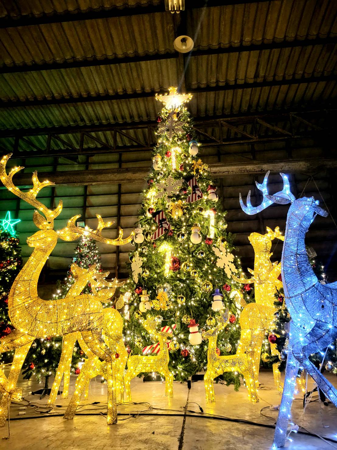 ดูซิ เข้ามาดูความสวยงามของต้นคริสต์มาสปลอม ที่ทางร้านจัดเตรียม สินค้ามากมาย มาให้เช่าตกแต่ง