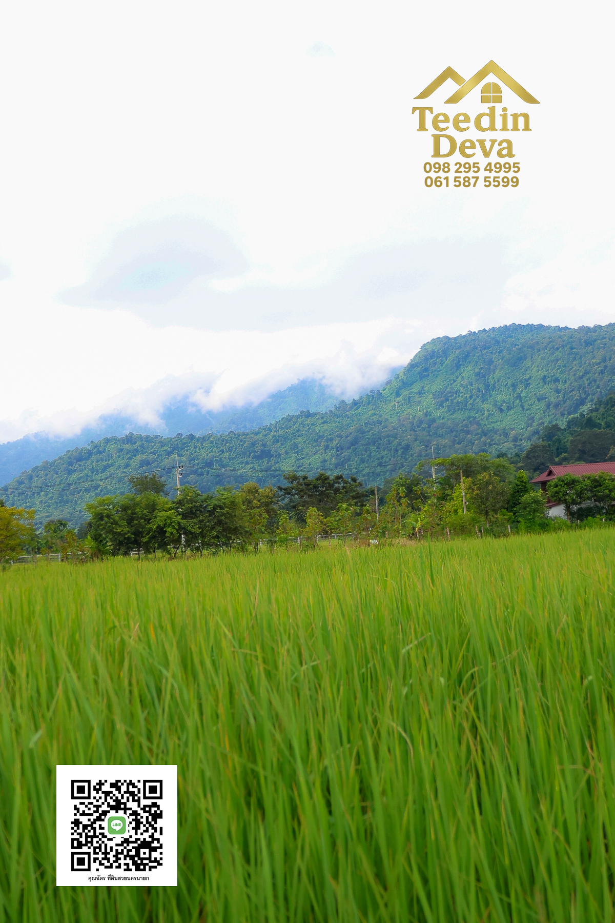 🏡✨ ที่ดินวิวภูเขา โอบด้วยธรรมชาติ…พักใจได้ทุกวัน 🌿 100 ตรว ต.เขาพระ อ.เมือง จ.นครนายก