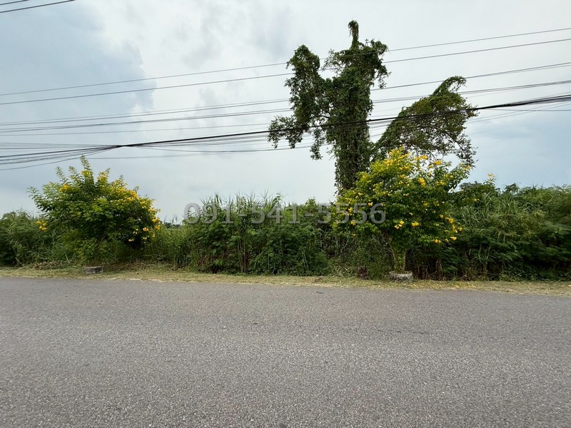 ขายที่ดิน 3 แปลงติดกัน 16 ไร่ ริมถนน ใกล้วัดหลวงพ่อโสธร ตรงข้ามหมู่บ้านมารวย ฉะเชิงเทรา การเดินทางสะดวกใกล้แหล่งชุมชน