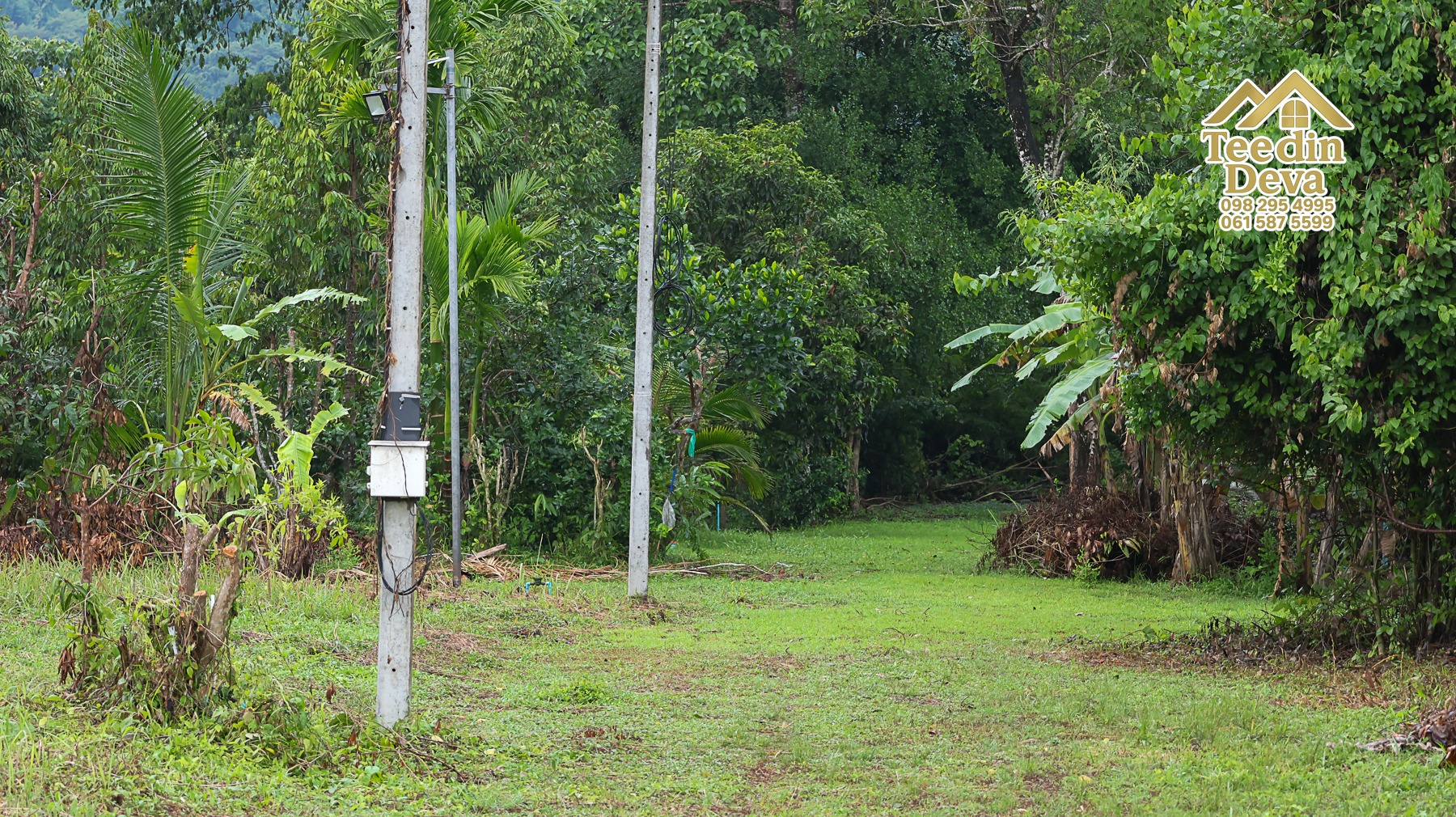 🌤 วิวภูเขาโอบล้อม ความสงบโอบใจ... ที่ดินสวนผลไม้ 120 ตร.ว. ต.หินตั้ง อ.เมือง จ.นครนายก 💛