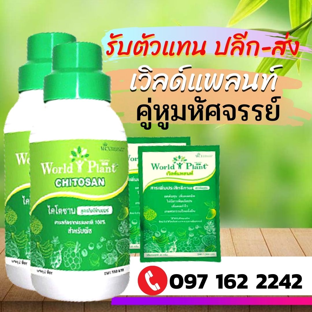 เวิลด์แพลนท์ +ไคโตซาน ชุดคู่หูมหัสจรรย์ 1ชุด