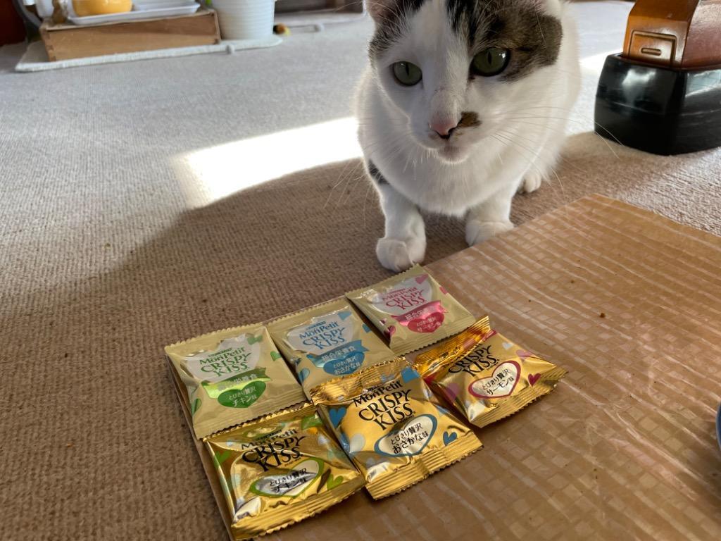 [ของแท้จากญี่ปุ่น🇯🇵] MonPetit Crispy Kiss Cat Treats Variety Pack ขนมแมวพรีเมียมคริสปี้คิส ยอดนิยม