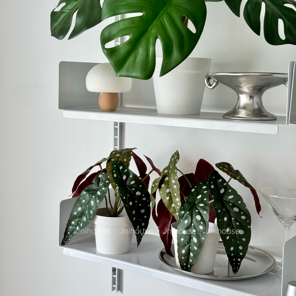 [พร้อมส่ง] Jnihouse : ต้นบีโกเนียประดิษฐ์เล็กกระถางขาว (Tree)