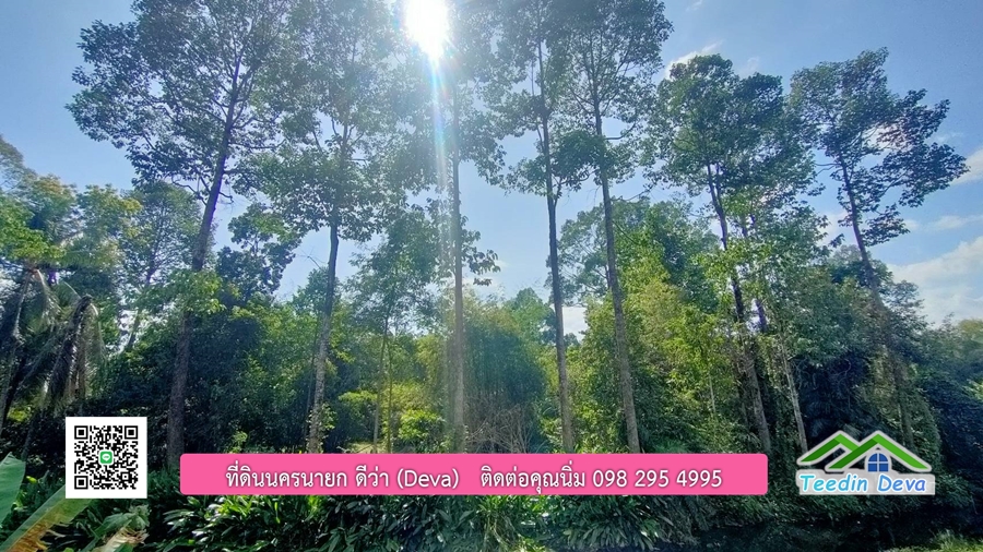 ที่ดินสวยขนาด 10 ไร่ อยู่ในแหล่งท่องเที่ยว ใกล้เขื่อนด่านปราการชล ต.สาริกา อ.เมือง จ.นครนายก