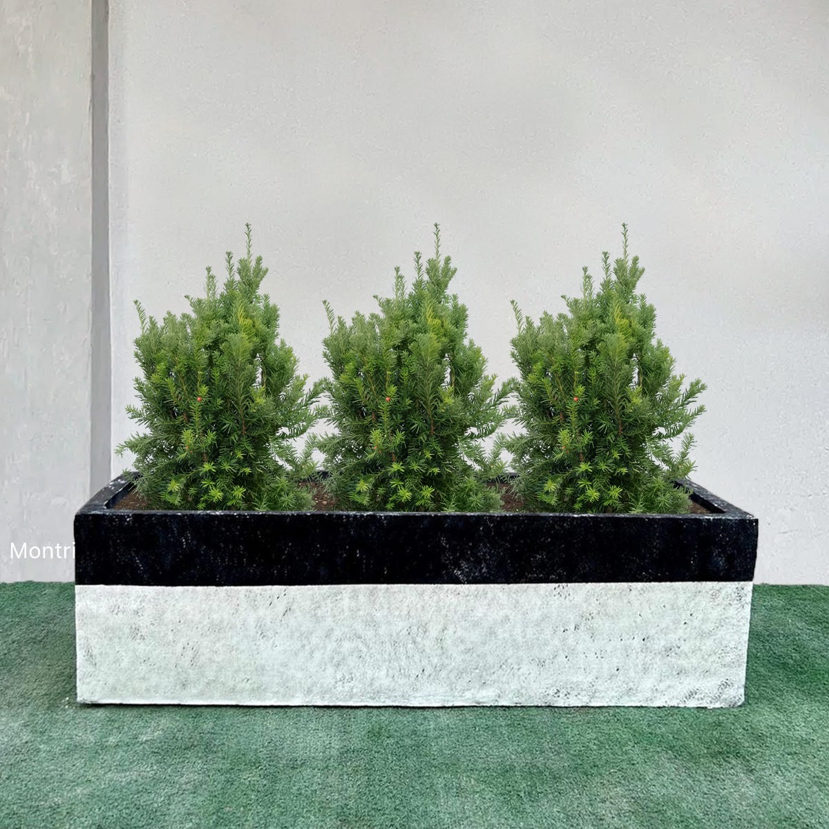 กระถางปูนต้นไม้ set 10 ใบ ลงสีคุณภาพพร้อมเคลือบเงาสามารถวางได้ทั้งกลางแจ้งและในร่ม ขนาด 30*100* cm. วัสดุเป็นปูน