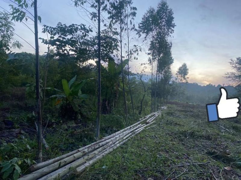 ที่ดินนครนายก วิวภูเขา ติดกับ ฝายทดน้ำ ถนนสาธาณะ พื้นที่ 516 ตร.ว. ต.เขาเพิ่ม อ.บ้านนา จ.นครนายก