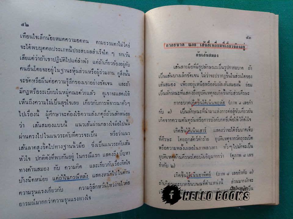 ตำราดูลายมือ ระบบไคโร