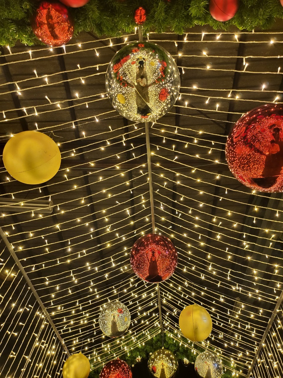 ให้เช่าซุ้มอุโมงค์ไฟประดับ "งานเลี้ยงคริสต์มาส"