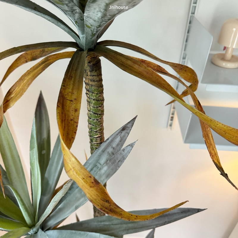 [พร้อมส่ง] Jnihouse : ต้นจันผาประดิษฐ์ สูง 160 cm (Tree)