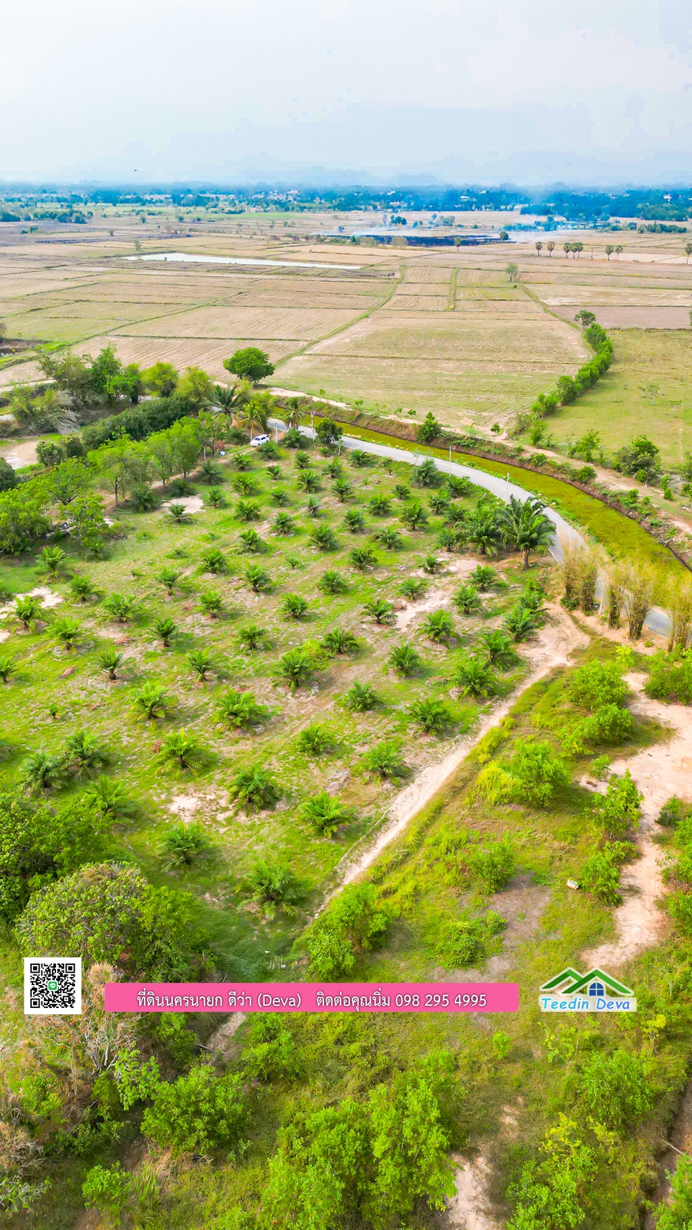 ขายที่ดิน สวนปาล์ม แปลงสวย ทำเลดี เนื้อที่ 11-3-8 ไร่ ให้ผลผลิตแล้ว อ.ปากพลี จ.นครนายก