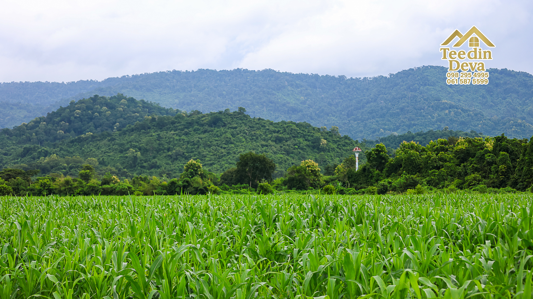 🌿 “ที่ดินในฝัน...ริมสายน้ำ ใต้เงาภูเขา” 2 ไร่ 3 งาน 84 ตรว. ต.เขาพระ อ.เมือง จ.นครนายก 🏞️