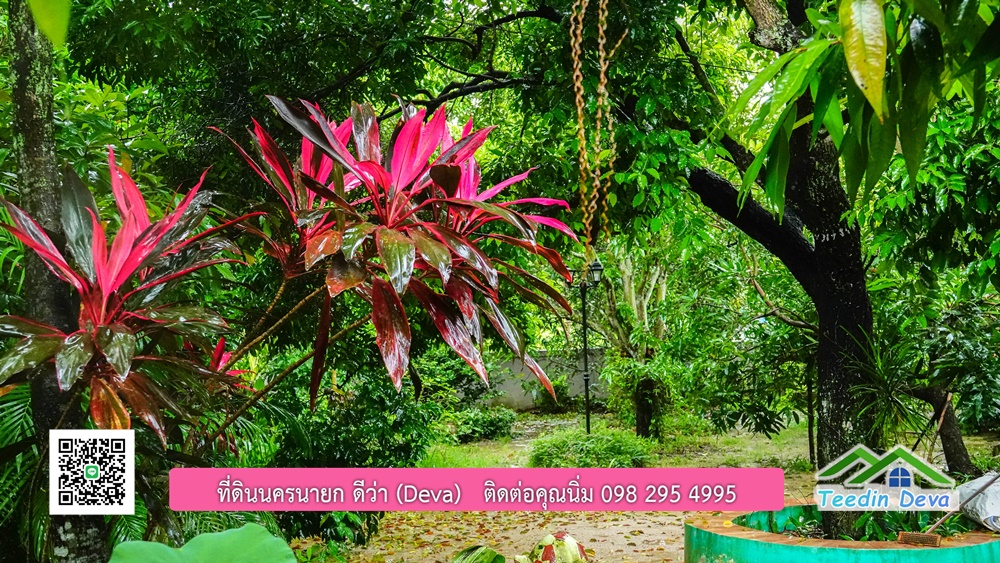 บ้านไทยประยุกต์ พร้อมสวนผลไม้ พืชผักสวนครัว ใกล้กับตัวเมืองนครนายก