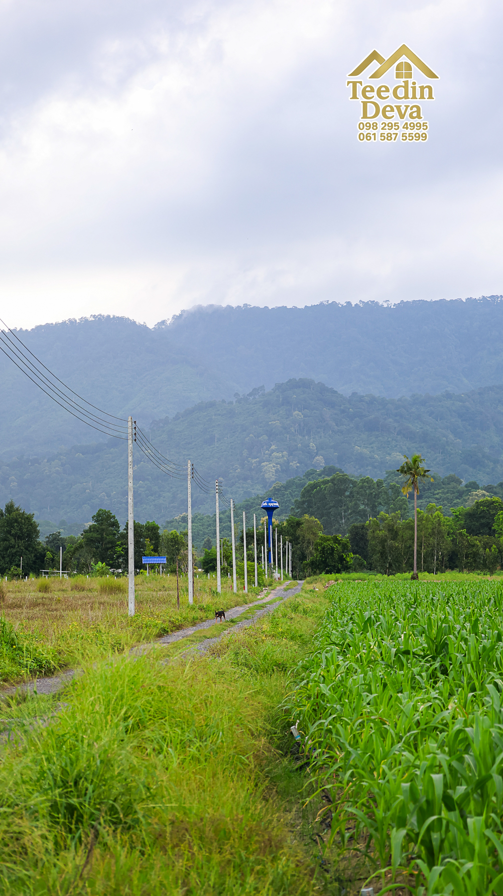 🌿 “ที่ดินในฝัน...ริมสายน้ำ ใต้เงาภูเขา” 2 ไร่ 3 งาน 84 ตรว. ต.เขาพระ อ.เมือง จ.นครนายก 🏞️