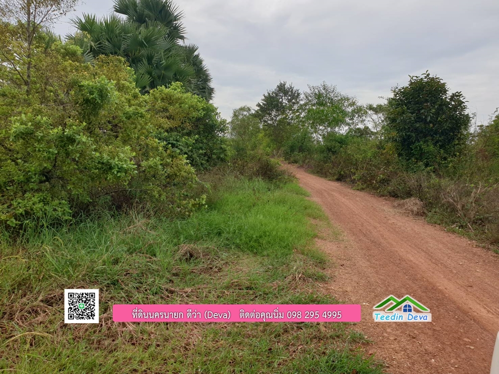 ที่ดินแปลงสวย ราคาถูก เนื้อที่ 33-1-67 ไร่ ราคาไร่ละ 250,000 บาท การเดินทางสะดวก อยู่ใกล้จุดชมนกเหยี่ยวหูดำ อ.ปากพลี จ.นครนายก