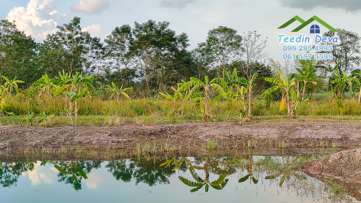ที่ดินนครนายก แปลงสวย เหมาะทำบ้านสวนเกษตร 2 ไร่ 1 งาน 19 ตร.ว. ต.พรหมณี อ.เมือง จ.นครนายก