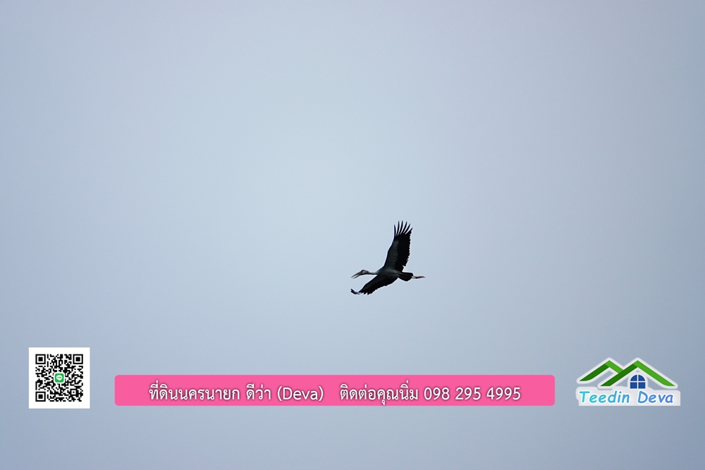 ที่ดินนครนายก โครงการ Mountain 3 อ.บ้านนา จ.นครนายก