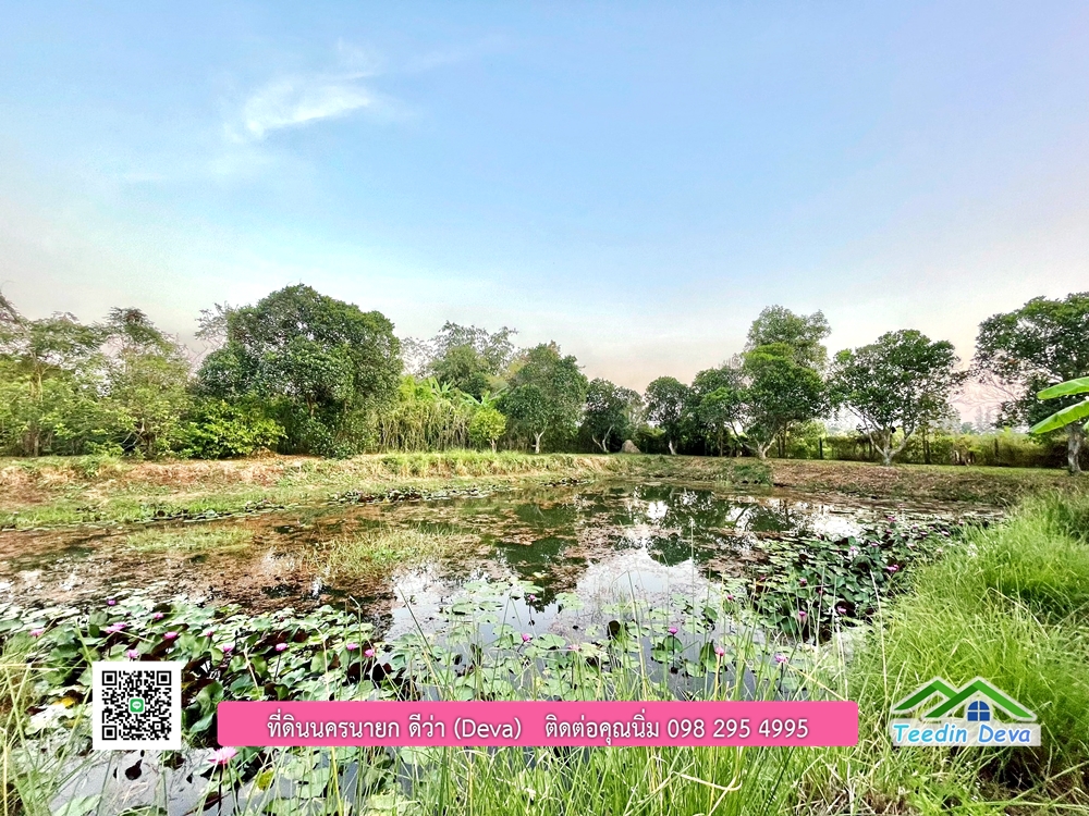 ขายบ้านสวน เนื้อที่ 6 ไร่ ต.ดงละคร อ.เมือง จ.นครนายก เอกสารสิทธิ: โฉนดครุฑแดง พร้อมโอน