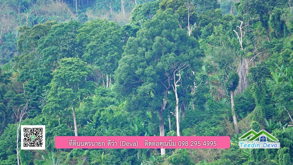 ที่ดินนครนายก ติดลำธารสวยๆ ที่ดินแปลงสวย 6 ไร่ ทำเลดี ในอ้อมกอดของขุนเขา ด้านหลังติดลำธารธรรมชาติ