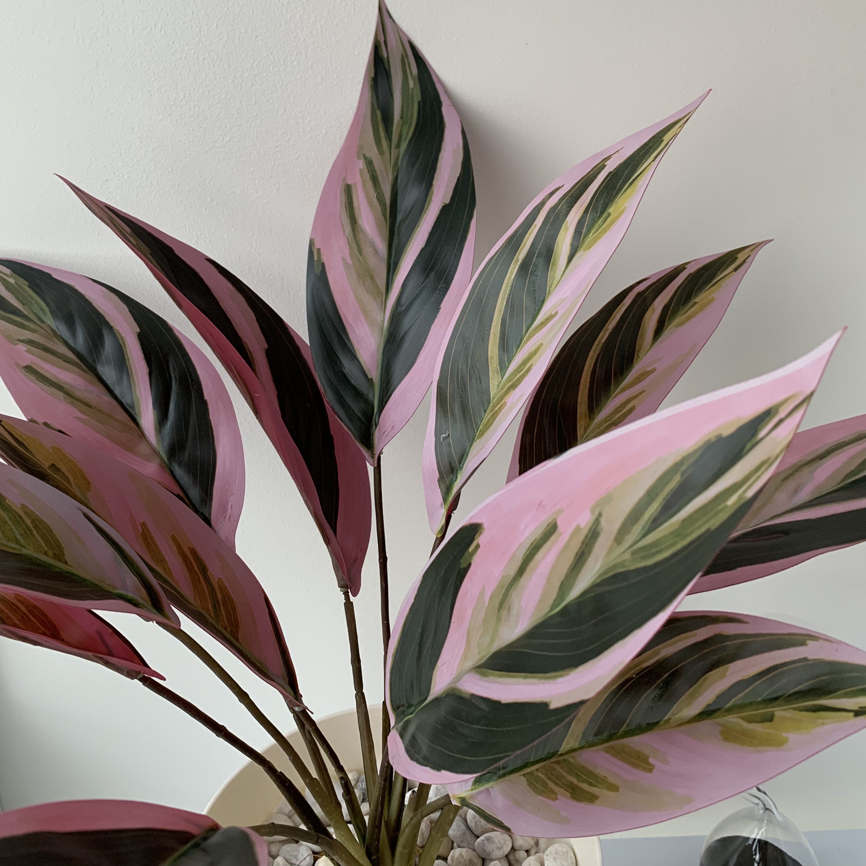 [พร้อมส่ง] Jnihouse : ต้นคล้าปลอม (Calatheas) ต้นไม้ปลอม ต้นไม้ประดับ