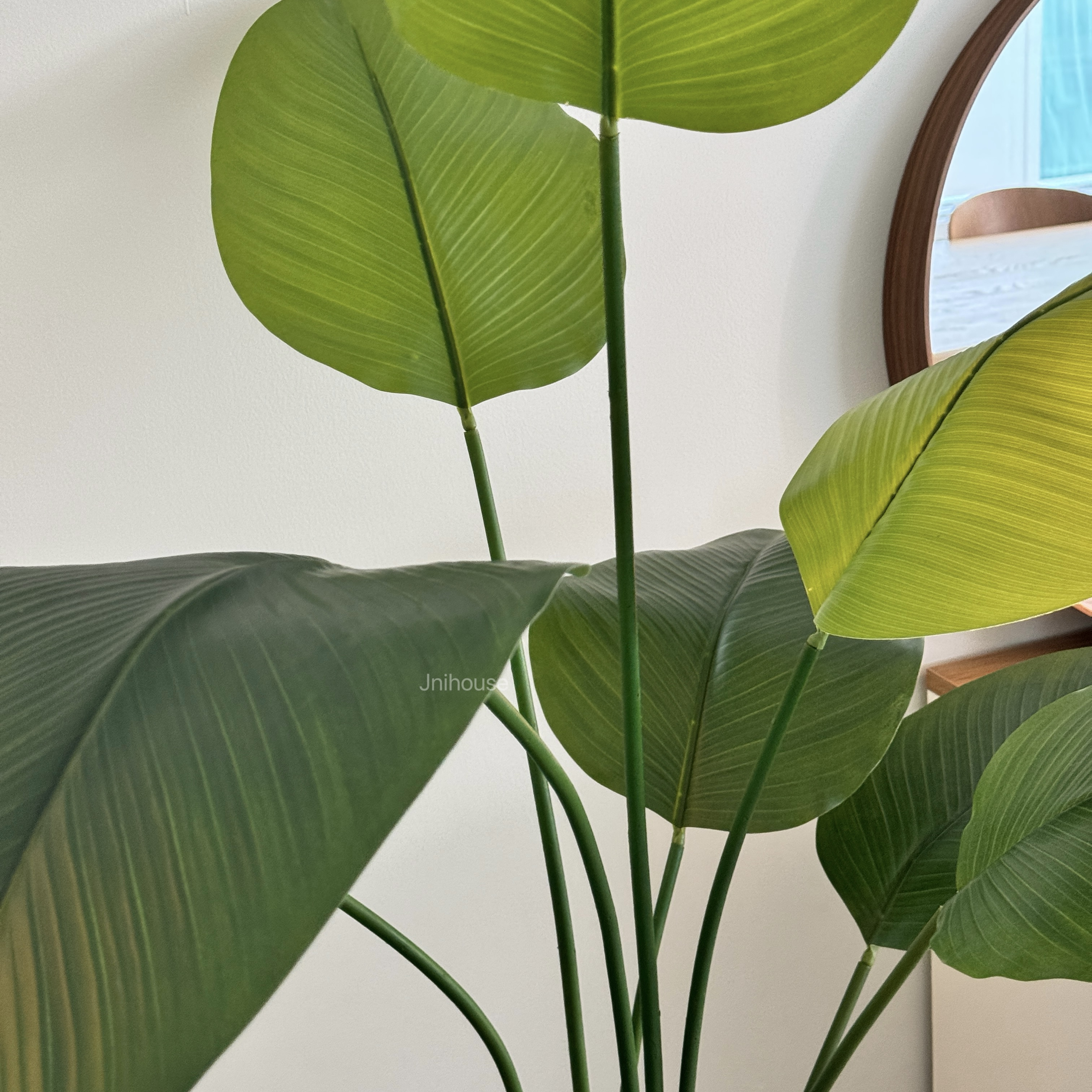 [พร้อมส่ง] Jnihouse : ต้นปักษาสวรรค์ประดิษฐ์(Tree) สูง 170 cm (ใบอ่อน)