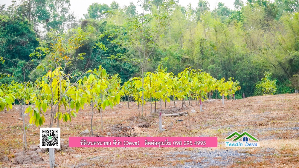 ที่ดินนครนายก วิวภูเขา ราคาเริ่มต้น 867,600 บาท ⭐ ทำเลแบบนี้ หาไม่ได้อีกแล้ว