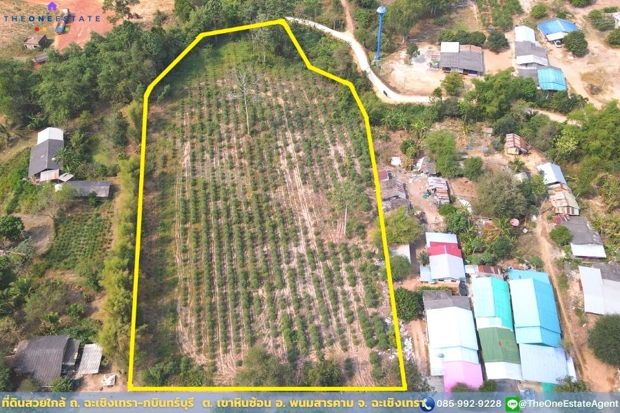 📣 ที่ดินสวยพร้อมทำกำไรดีกว่าฝากแบงค์ ปลูกต้นยูคาฯ ตอ2 กำลังโต พร้อมเก็บเกี่ยว ใกล้ ถ. ฉะเชิงเทรา-กบินทร์บุรี น้ำ-ไฟฟ้าเข้าถึงเรียบร้อย เดินทางเข้าออกสะดวก ต. เขาหินซ้อน อ. พนมสารคาม จ. ฉะเชิงเทรา The Best ! | โทร. 085-992-9228