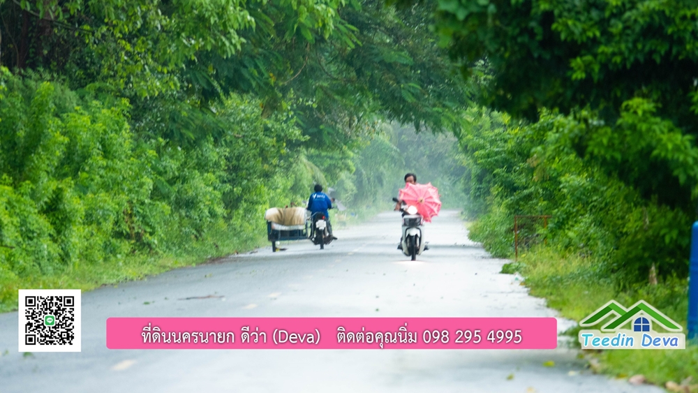 ที่ดินนครนายก สวนผลไม้ขนาดเล็ก 155 ตร.ว. ด้านหลังติดลำธาร