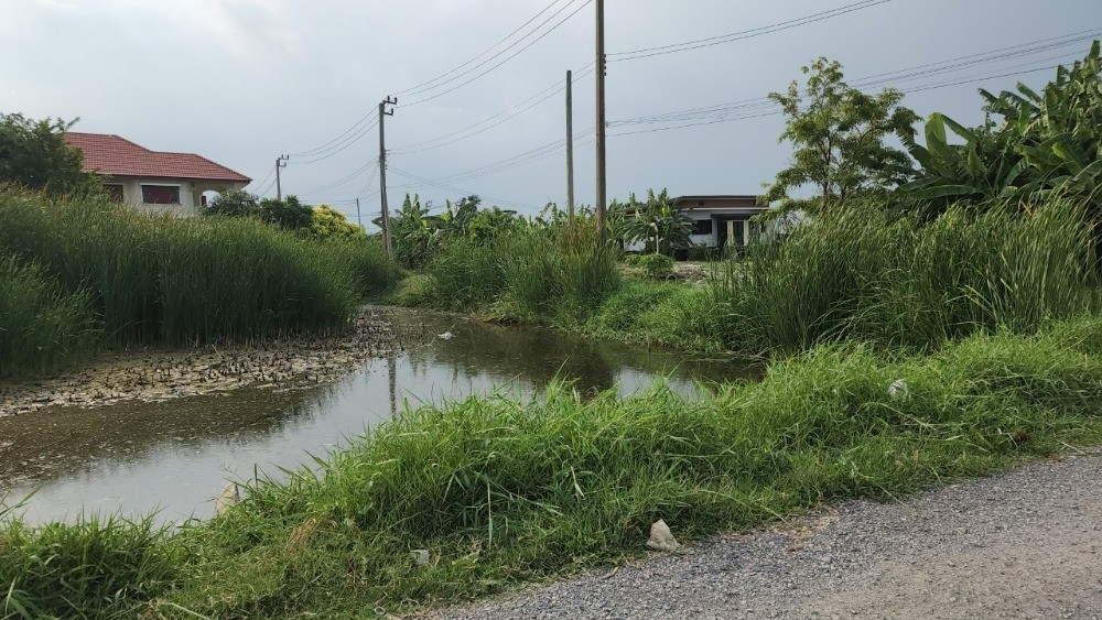 ขายที่ดินเปล่าทำเลยอดนิยมย่านพัฒนาการ ซอย อ่อนนุช 70/1 (N.642)